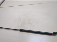  Амортизатор капота Nissan X-Trail (T30) 2001-2006 20360092 #1