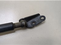  Амортизатор капота Nissan X-Trail (T30) 2001-2006 20360092 #2