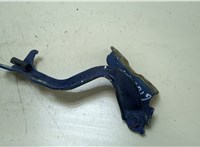  Петля капота Chevrolet Lacetti 20360820 #1