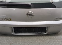  Крышка (дверь) багажника Opel Signum 20361028 #6