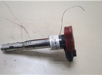  Катушка зажигания Audi A6 (C6) 2004-2011 20361617 #1