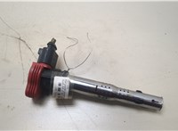  Катушка зажигания Audi A6 (C6) 2004-2011 20361623 #1