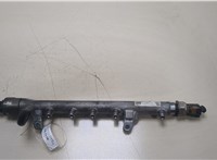  Рампа (рейка) топливная Seat Ibiza 4 2008-2015 20362493 #1