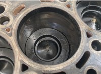  Блок цилиндров (Шорт блок) Seat Ibiza 4 2008-2015 20362499 #9