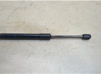  Амортизатор капота BMW 7 F01 2008-2015 20362632 #1