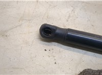  Амортизатор капота BMW 7 F01 2008-2015 20362632 #3