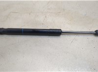  Амортизатор капота BMW 7 F01 2008-2015 20362636 #1