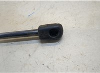  Амортизатор капота BMW 7 F01 2008-2015 20362636 #2
