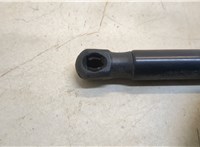  Амортизатор капота BMW 7 F01 2008-2015 20362636 #3