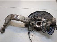  Ступица (кулак, цапфа) Audi A6 (C5) 1997-2005 20362974 #1