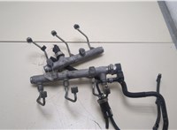  Рампа (рейка) топливная Volkswagen Phaeton 2002-2010 20363045 #1