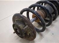  Амортизатор подвески Volkswagen Passat 5 1996-2000 20363161 #2