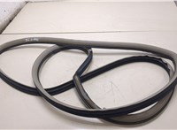  Уплотнитель Toyota Highlander 1 2001-2007 20363332 #1