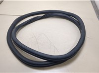  Уплотнитель Toyota Tundra 2007-2013 20363356 #1