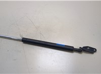  Амортизатор крышки багажника Mazda CX-9 2012-2016 20363482 #1