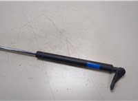  Амортизатор крышки багажника Mazda CX-9 2012-2016 20363483 #1