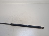  Амортизатор крышки багажника BMW X5 E53 2000-2007 20363486 #1