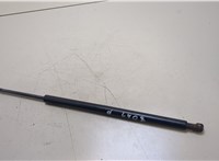  Амортизатор крышки багажника BMW X5 E53 2000-2007 20363487 #1