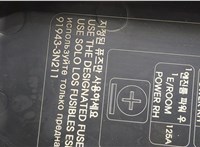 919433N211 Крышка блока предохранителей Hyundai Equus 2013-2016 20363523 #2