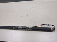 905605NA0A Амортизатор крышки багажника Infiniti QX50 2017- 20363867 #1