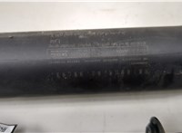 905605NA0A Амортизатор крышки багажника Infiniti QX50 2017- 20363867 #2