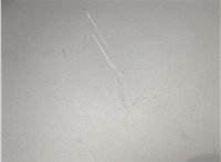  Подсветка номера Audi A6 (C6) 2004-2011 11380172 #6
