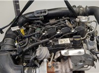  Двигатель (ДВС) Ford EcoSport 2017- 20364076 #14