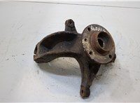  Ступица (кулак, цапфа) Renault Scenic 2003-2009 20364143 #1