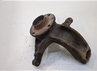  Ступица (кулак, цапфа) Renault Scenic 2003-2009 20364286 #1