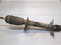  Амортизатор подвески Fiat Ducato 2006-2014 20364404 #1