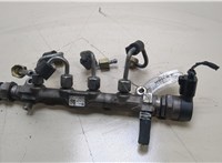  Рампа (рейка) топливная Skoda Octavia (A7) 2013-2023 20364994 #1