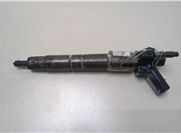13537805428, 7805428, 13537805429, 7805429 Форсунка топливная BMW 5 F07 Gran Turismo 2009-2013 20365384 #1