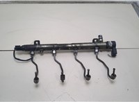  Рампа (рейка) топливная Mercedes Vito W639 2004-2013 20365615 #1