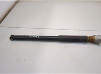  Амортизатор подвески Ford EcoSport 2017- 20366393 #1