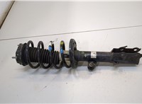  Амортизатор подвески Ford EcoSport 2017- 20366416 #1