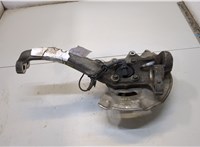  Ступица (кулак, цапфа) Hyundai Equus 2013-2016 20366618 #2