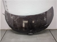  Капот Toyota Urban Cruiser 20366658 #1