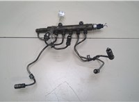  Рампа (рейка) топливная Mitsubishi L200 2006-2015 20366873 #1