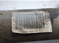 9674996780 Амортизатор подвески Citroen C5 2008- 20366925 #4