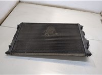 8200062690 Радиатор охлаждения двигателя Renault Scenic 1996-2002 20367169 #2