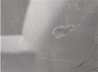  Дверь боковая (легковая) Dodge Caliber 20367315 #7