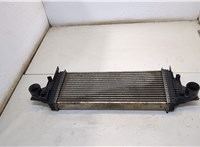 A1645001900 Радиатор интеркулера Mercedes ML W164 2005-2011 20367460 #1
