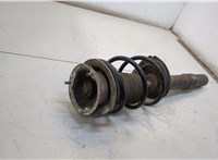 31326764458, 31326764457 Амортизатор подвески BMW 5 E60 2003-2010 20367971 #2