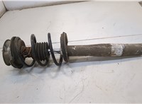 31316768796, 6768796, 31336768807, 31316768795 Амортизатор подвески BMW 5 E60 2003-2010 20367981 #1