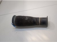 Пневмоподушка BMW 5 E60 2003-2010 20368376 #1