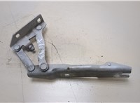  Петля капота BMW 5 E60 2003-2010 20368894 #1