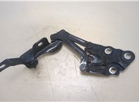  Петля капота BMW X3 F25 2010-2017 20368905 #3