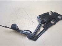 Петля капота BMW X3 F25 2010-2017 20368906 #3
