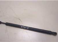  Амортизатор крышки багажника Fiat Croma 2005-2011 20368946 #1