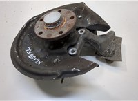 1T0598611B, 3C0505433K, 5N0615611C Ступица (кулак, цапфа) Volkswagen Passat 7 2010-2015 Европа 20368970 #1